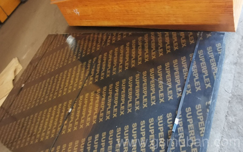 桉木模板還是楊木板好?選對節省工程成本