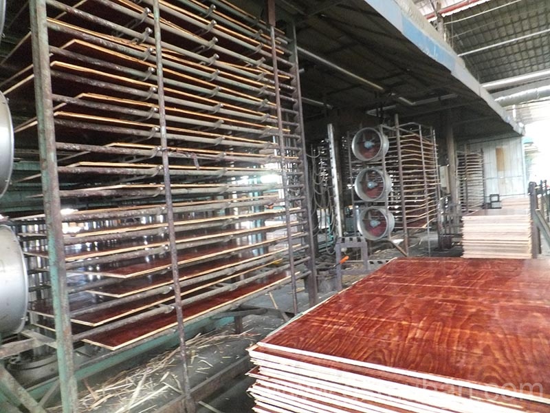 工地模板多少錢一平米?這樣選降低成本價格